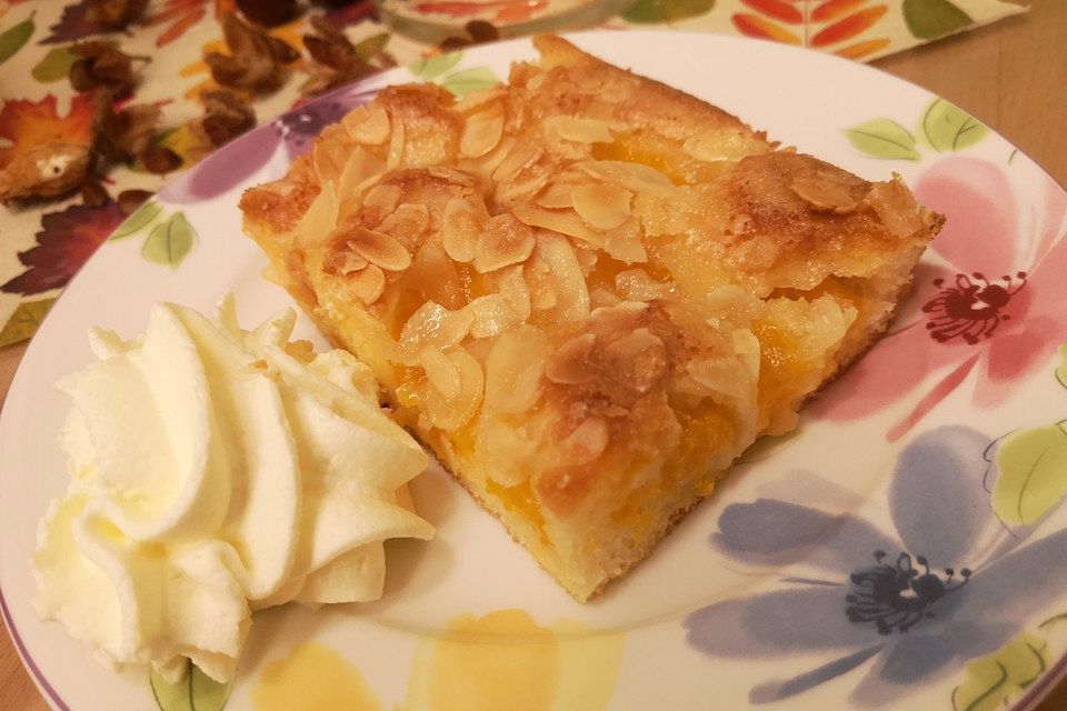 Altenburger Mandarinenkuchen