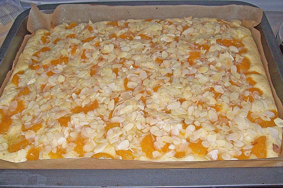 Altenburger Mandarinenkuchen