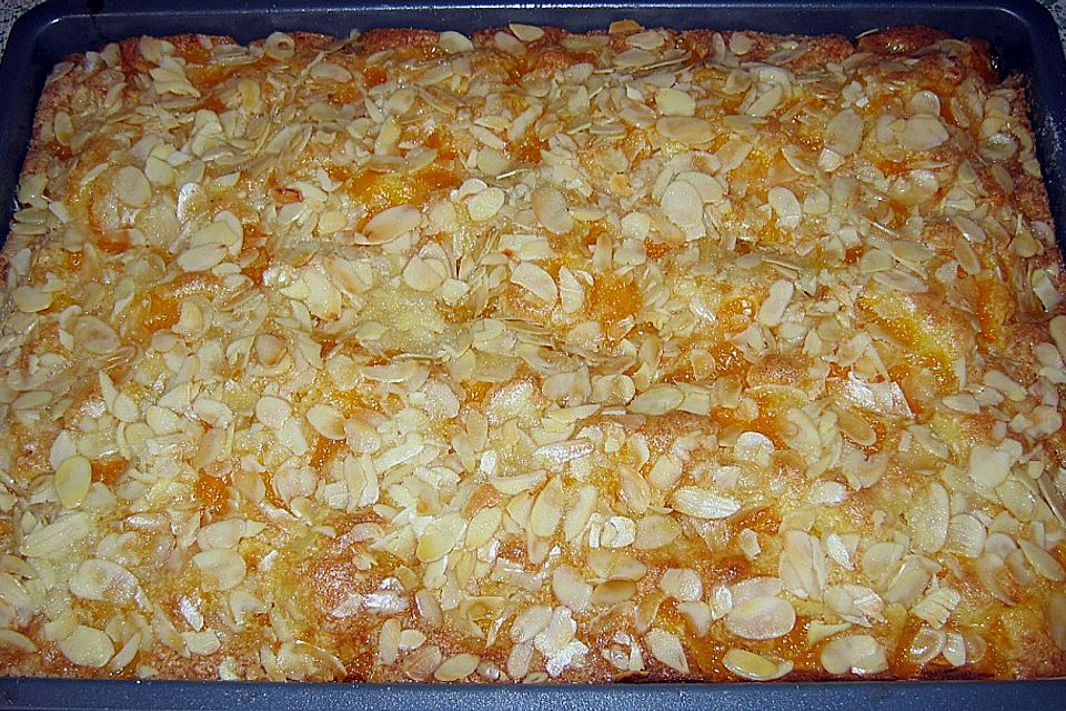 Altenburger Mandarinenkuchen