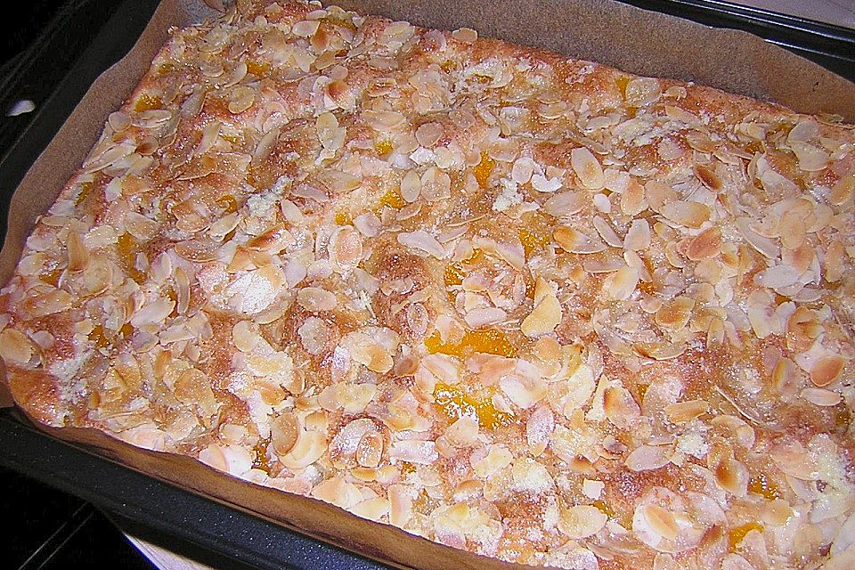 Altenburger Mandarinenkuchen