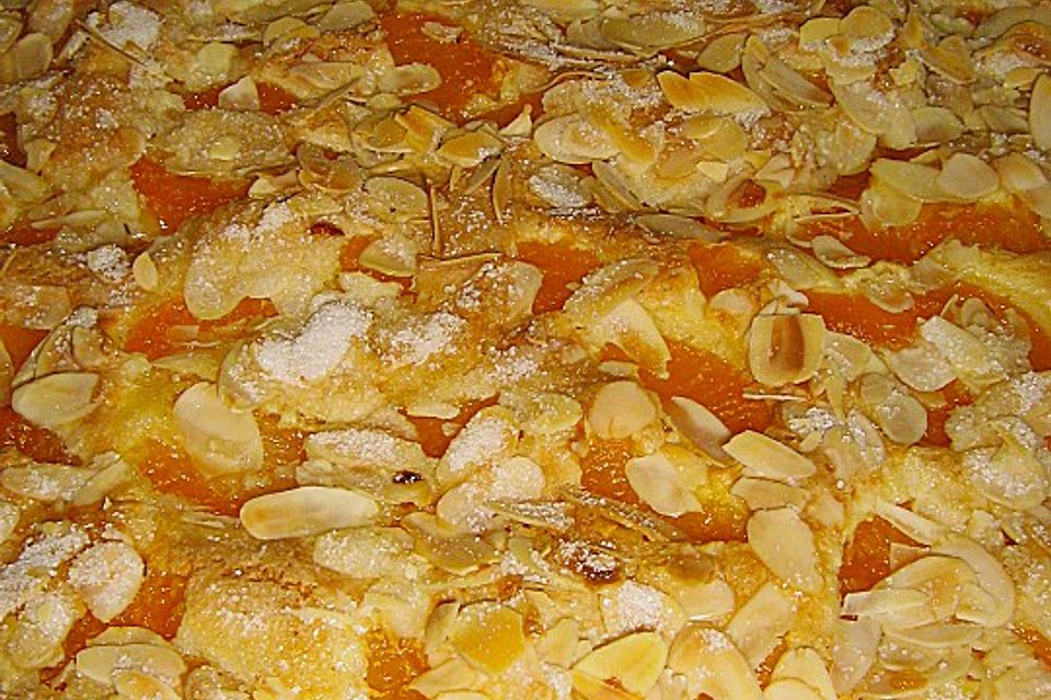 Altenburger Mandarinenkuchen