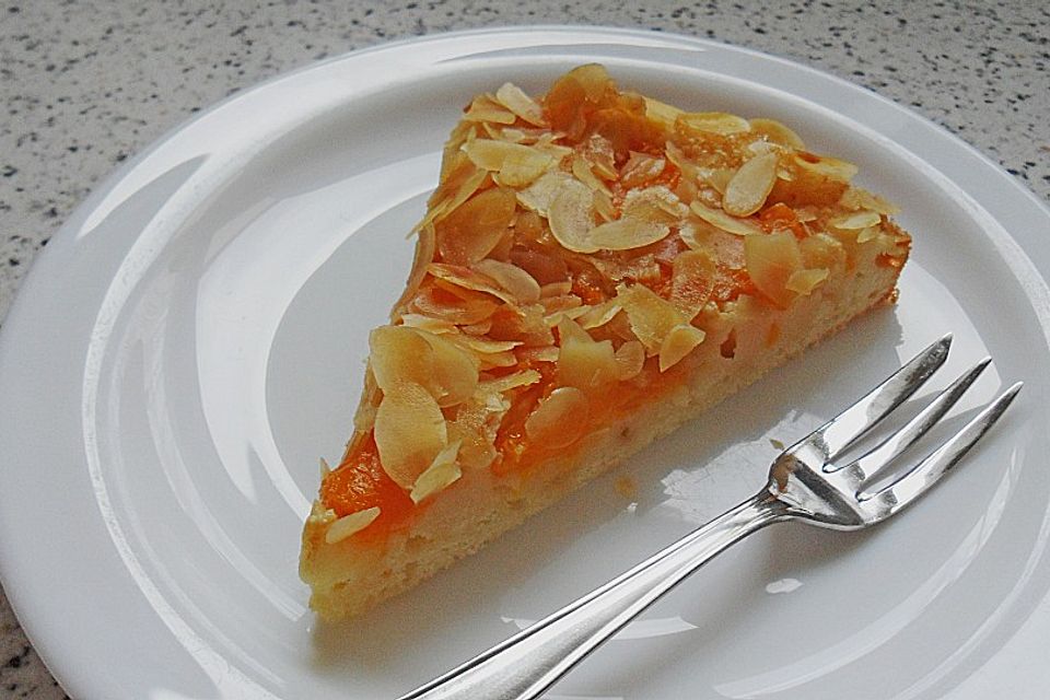 Altenburger Mandarinenkuchen