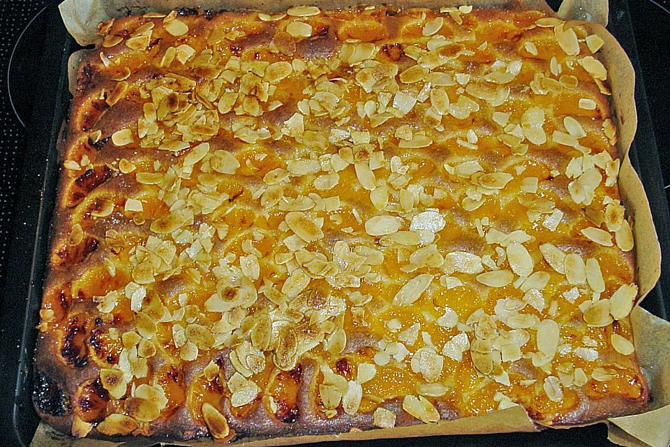 Altenburger Mandarinenkuchen