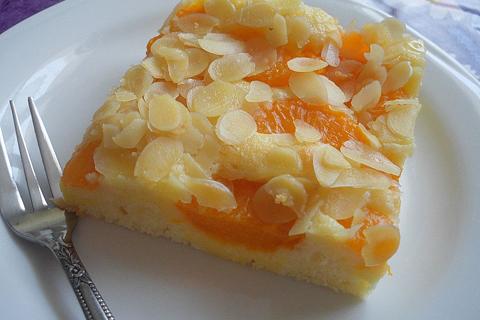 Altenburger Mandarinenkuchen