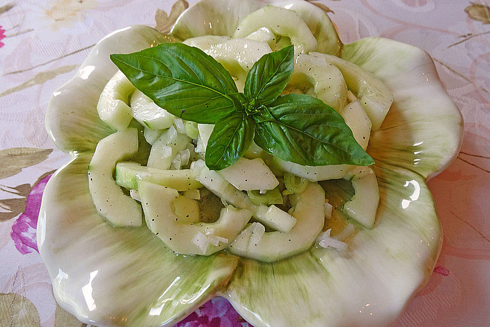 Ungarischer Gurkensalat