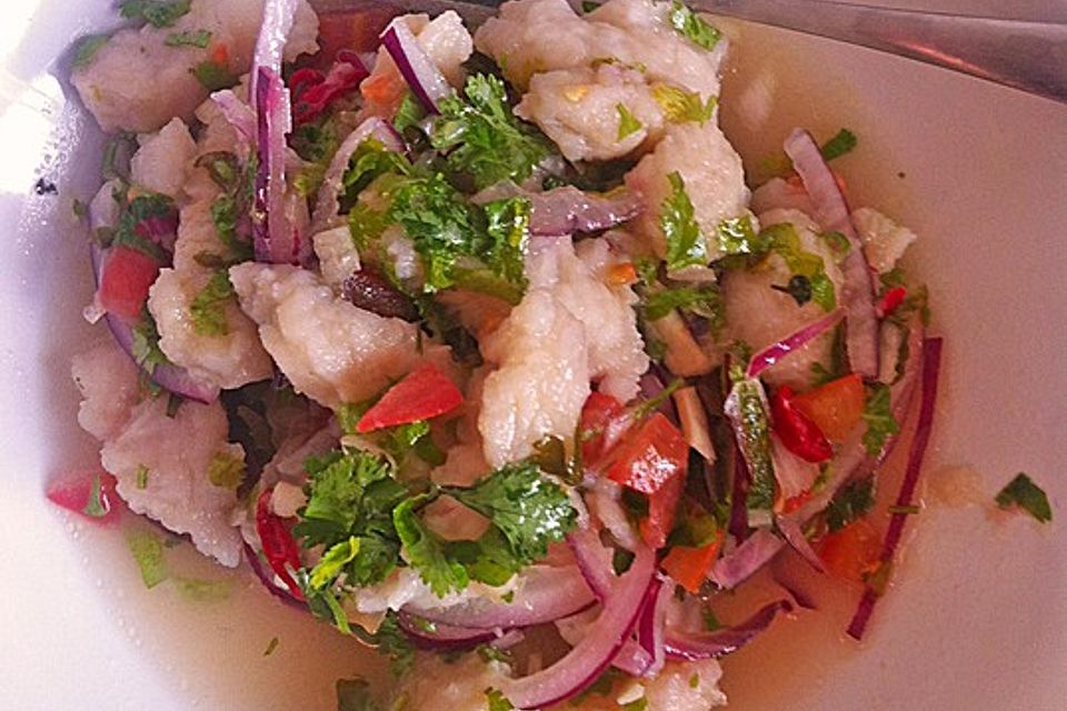 Timos Sommer-Ceviche