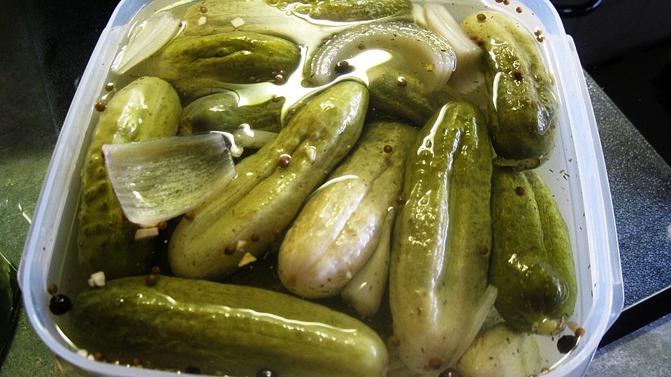 Gurken selbst eingelegt von peper_koch