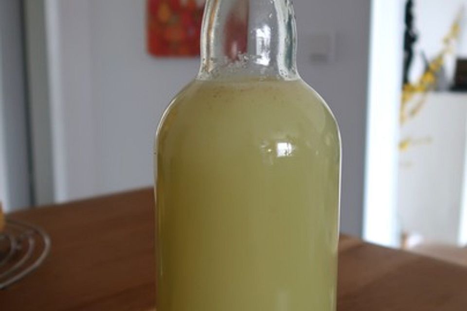 Zitronen-Ingwer-Limonade