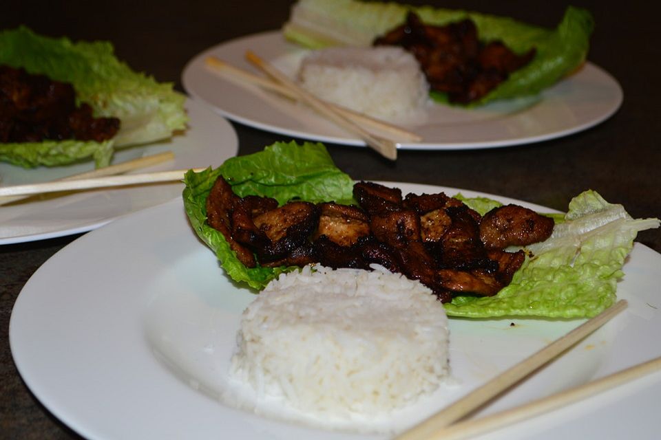 Mariniertes Schweinefleisch koreanische Art