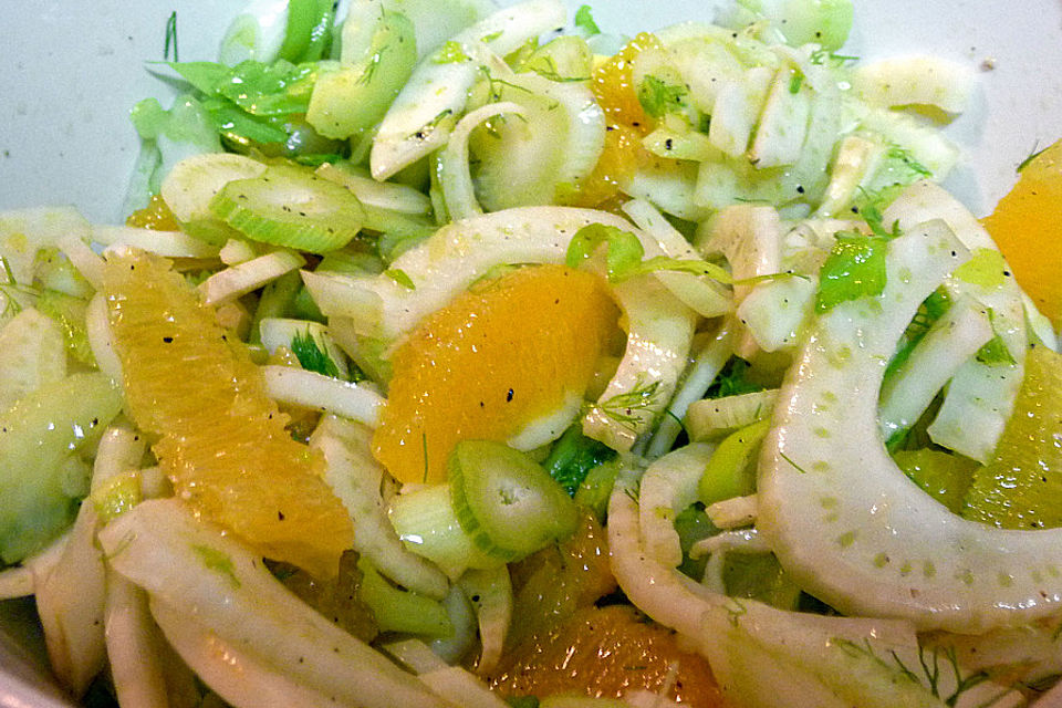 Fenchel-Orangen Salat