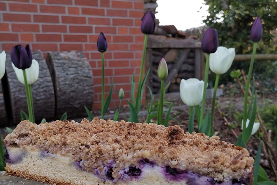 Heidelbeer-Pudding-Kuchen