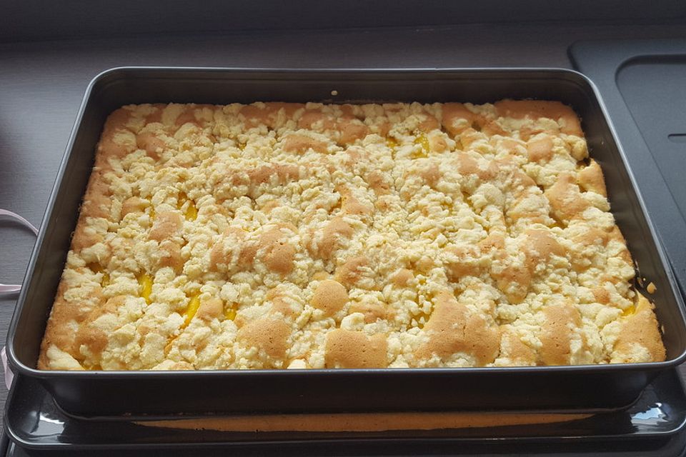 Pfirsich - Streusel Kuchen vom Blech