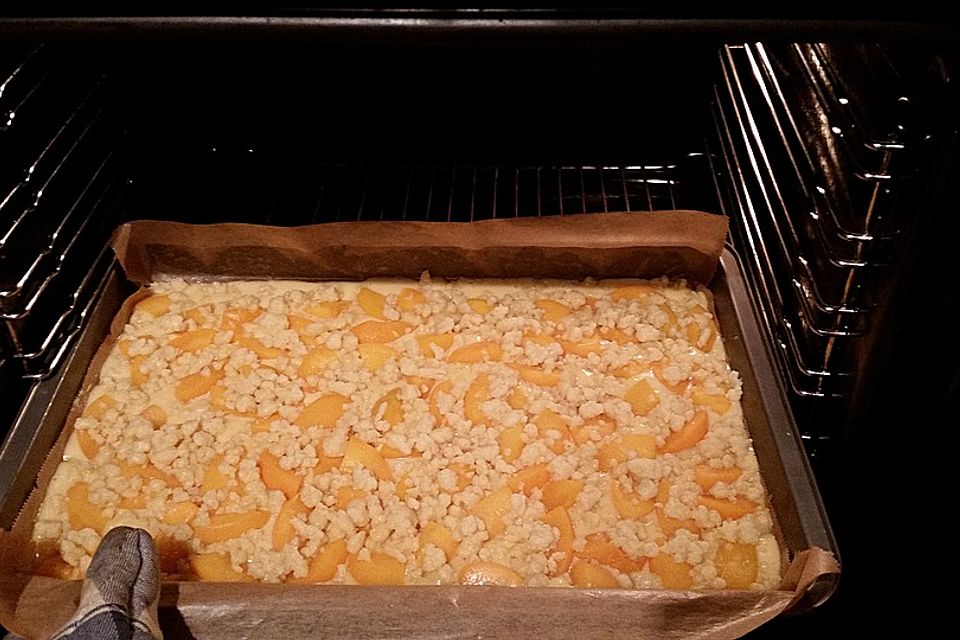 Pfirsich - Streusel Kuchen vom Blech