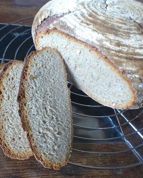 Roggenmischbrot Rezepte | Chefkoch