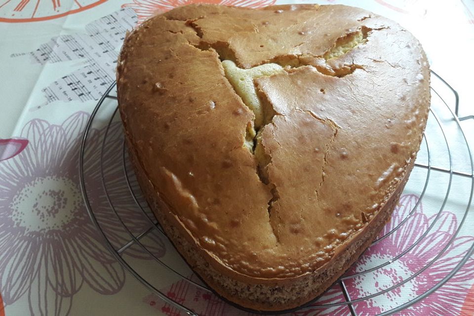 Haselnuss-Schmand Kuchen Haselnuss-Schmand Kuchen