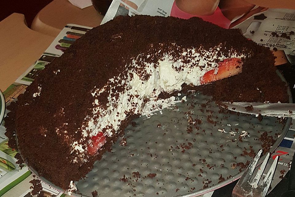 Maulwurfkuchen