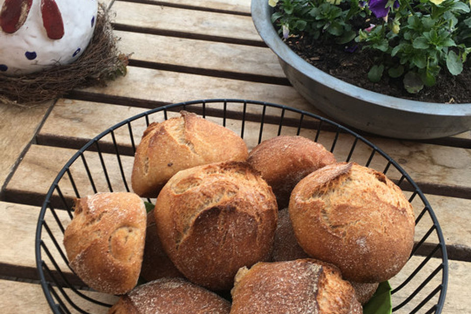 Dinkelvollkornbrötchen mit Lievito Madre