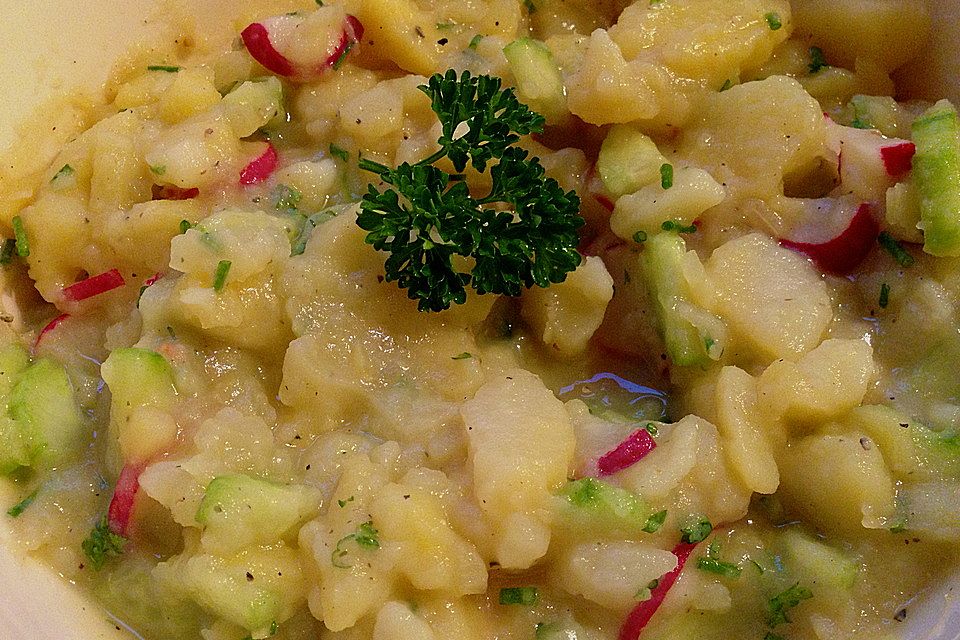 Kartoffel-Radieschen Salat mit Salatgurke und Kräutern