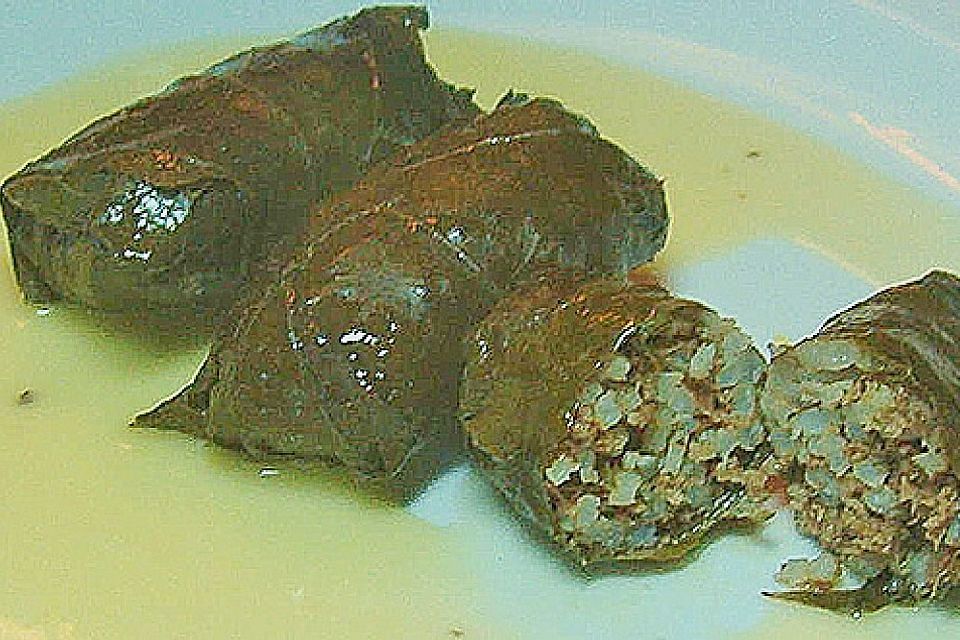 Gefüllte Weinblätter mit Eier-Zitronen-Sauce