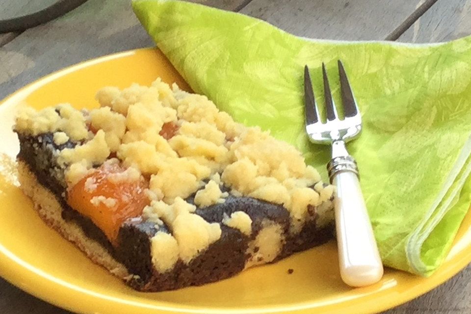 Mohn-Aprikosenkuchen mit Streuseln