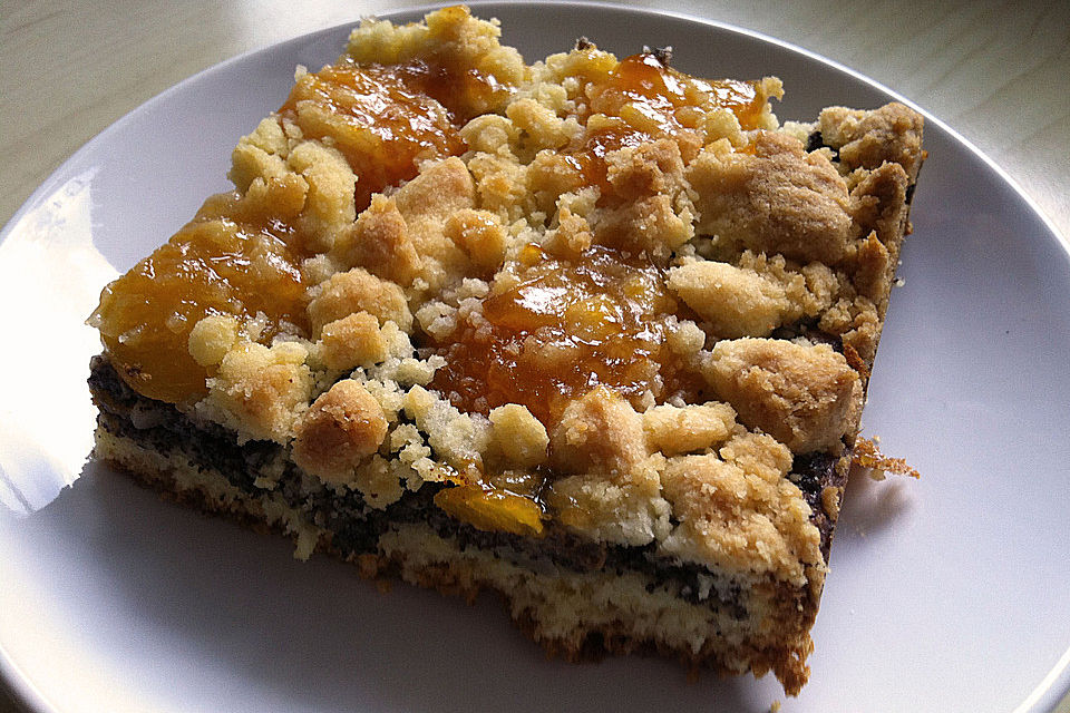 Mohn-Aprikosenkuchen mit Streuseln