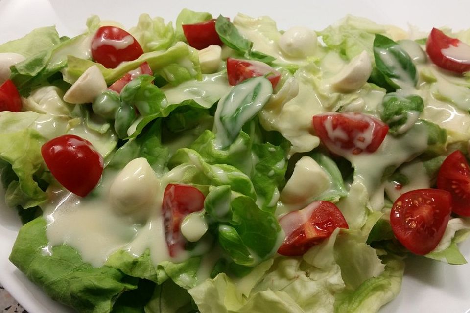 Salat-Dressing mit Joghurt (ohne Sahne) für alle Salate geeignet