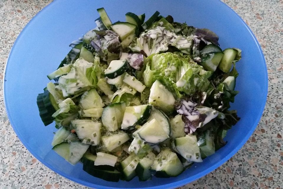 Salat-Dressing mit Joghurt (ohne Sahne) für alle Salate geeignet