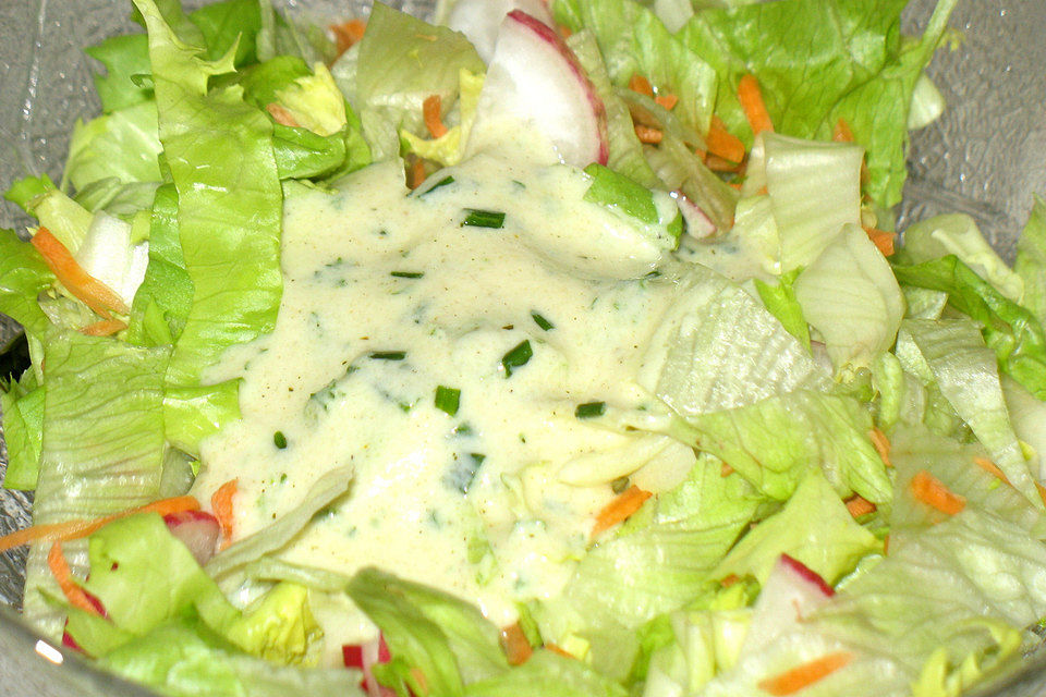 Salat-Dressing mit Joghurt (ohne Sahne) für alle Salate geeignet