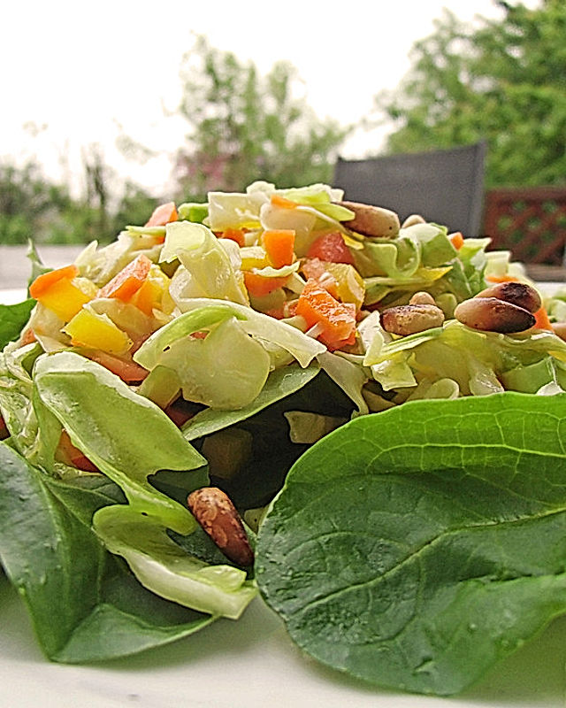 Spitzkohl-Möhren-Salat