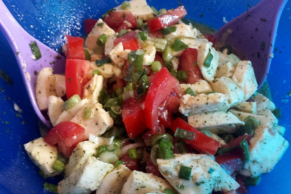 Tomaten-Mozzarella-Salat mit Pfiff