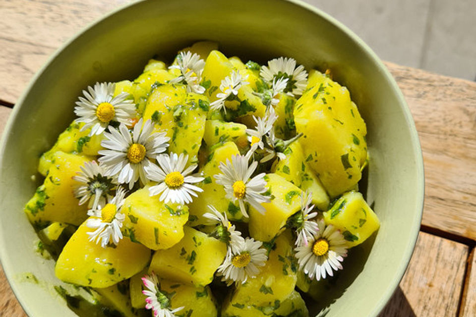 Bärlauch-Kartoffelsalat Bärlauch-Kartoffelsalat