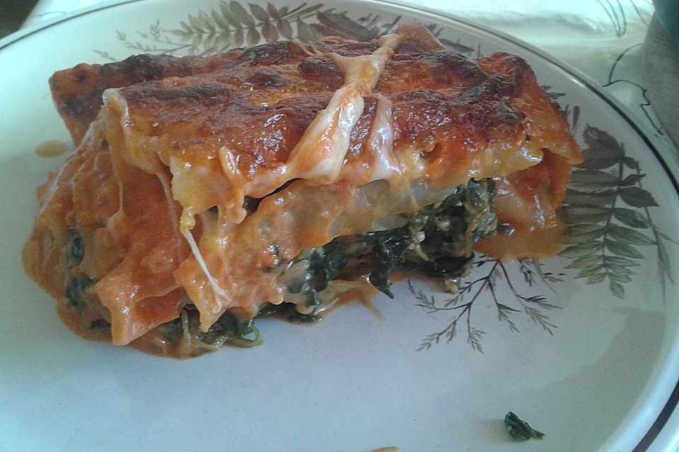 Vegetarisch gefüllte Cannelloni