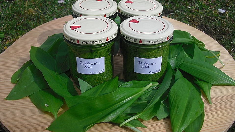 Bärlauchpesto mit gerösteten Walnüssen von sweet-maja Bärlauchpesto mit gerösteten Walnüssen von sweet-maja