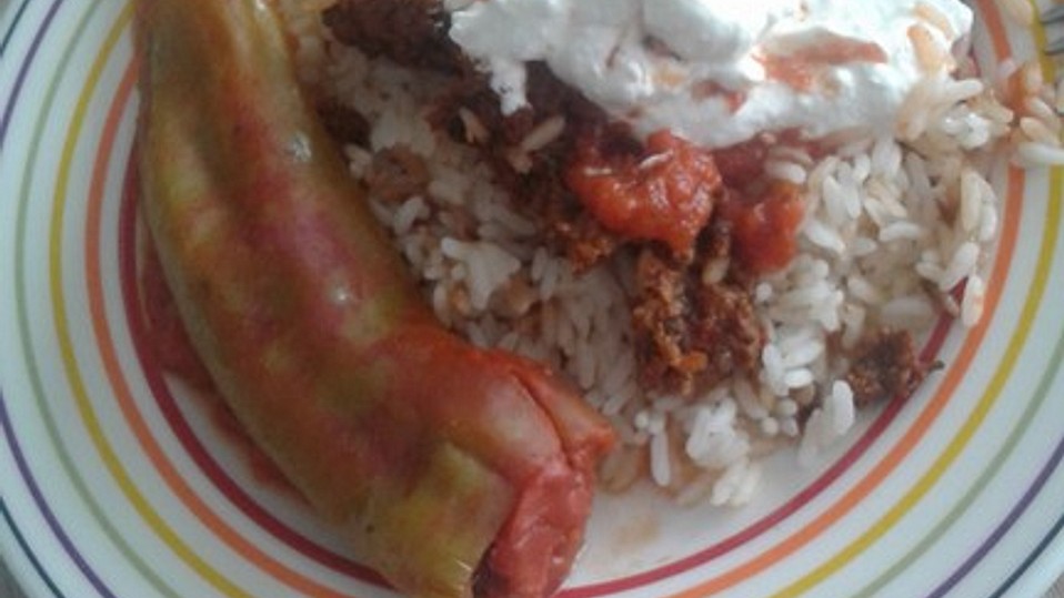 Gefüllte Paprika auf türkische Art von globix