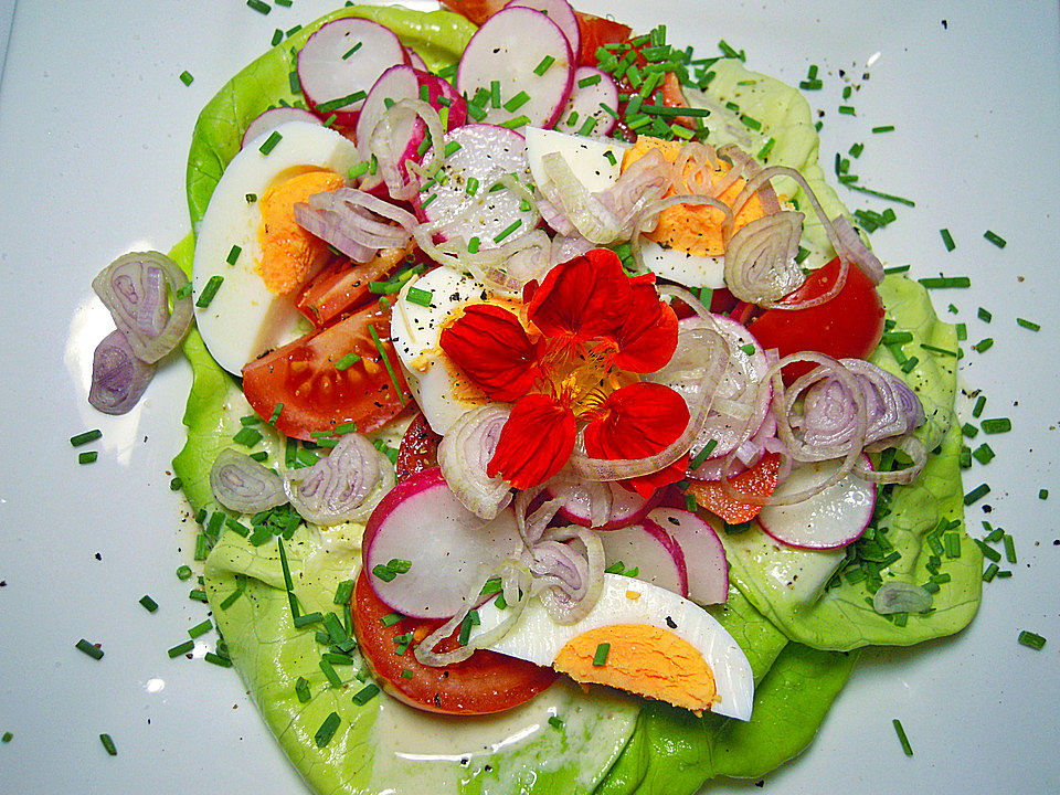 Bunter Zucchinisalat mit Senf - Dressing - Kochen Gut | kochengut.de