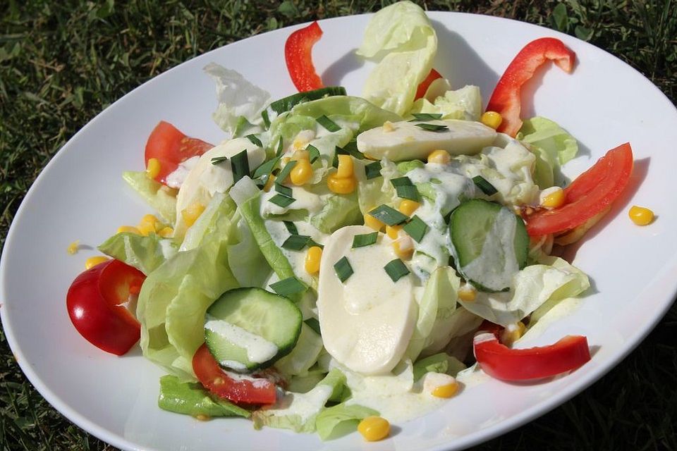 Gemischter Salat mit Joghurt-Dressing