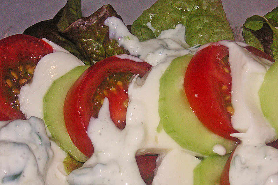 Trilogie von Gurke-Tomate-Mozzarella auf Lollo Bianco-Bett mit Joghurt-Schnittlauch-Dressing