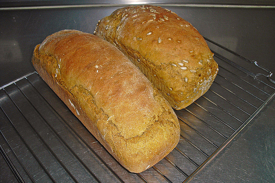 Kürbisbrot Kürbisbrot