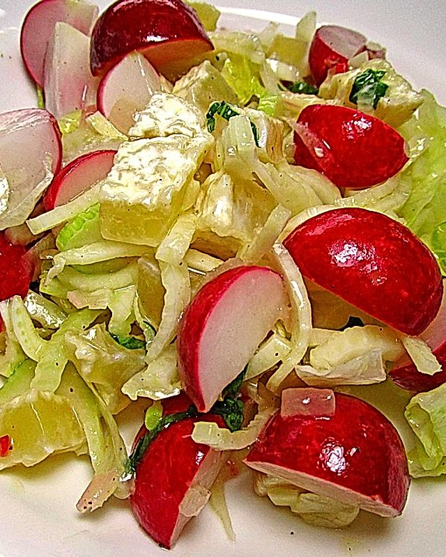Radieserl-Fenchel-Salat mit Harzer Käse