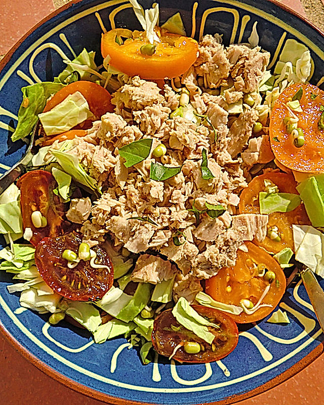 krümeltigers Tomaten-Spitzkohl-Salat mit Mungbohnensprossen und Thunfisch