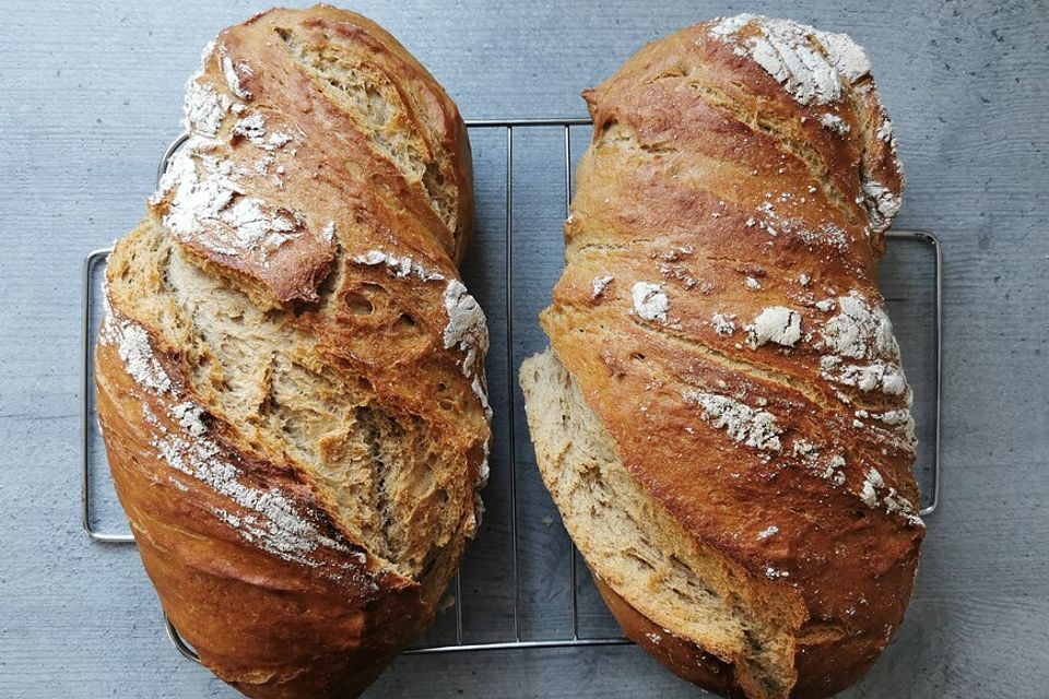 Bierbrot, würziges