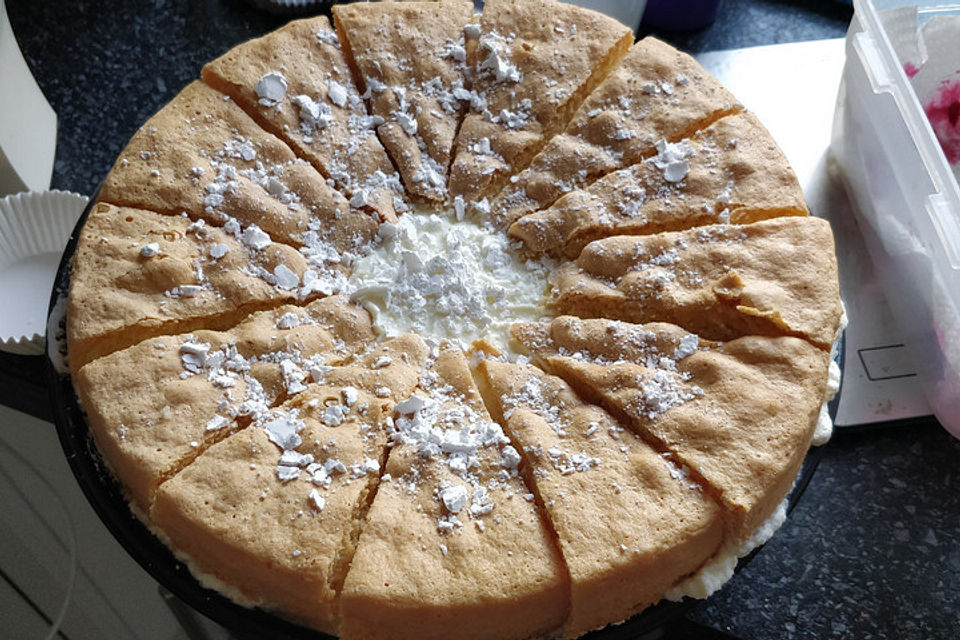 Himbeer-Sahne-Quark-Torte mit Miniwindbeuteln