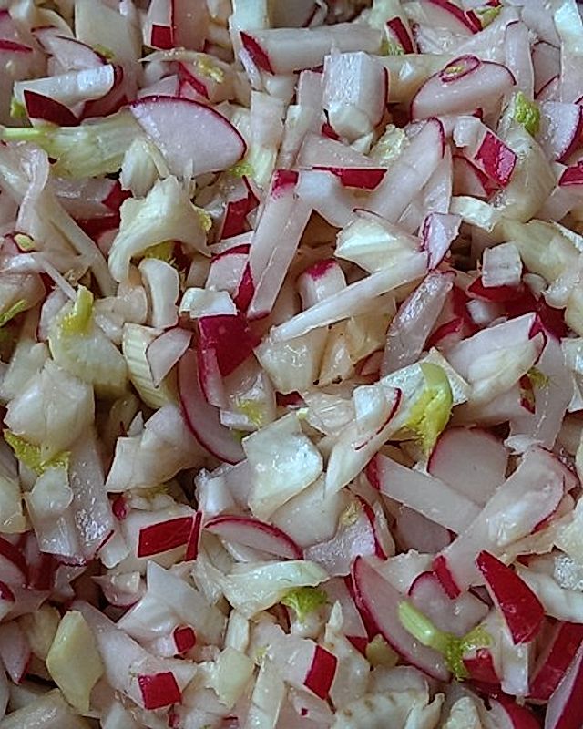 Fenchel-Radieschen-Salat
