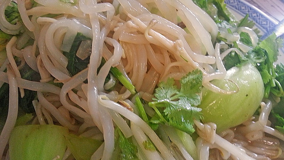 Shiratakinudeln Im Wok Von Halong Chefkoch 