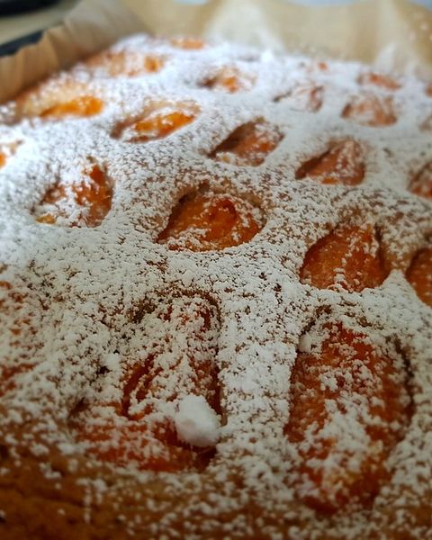 Marillenkuchen Rezepte | Chefkoch Marillenkuchen Rezepte | Chefkoch