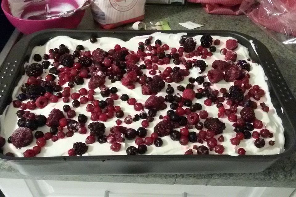 Waldbeeren-Joghurt-Tiramisu