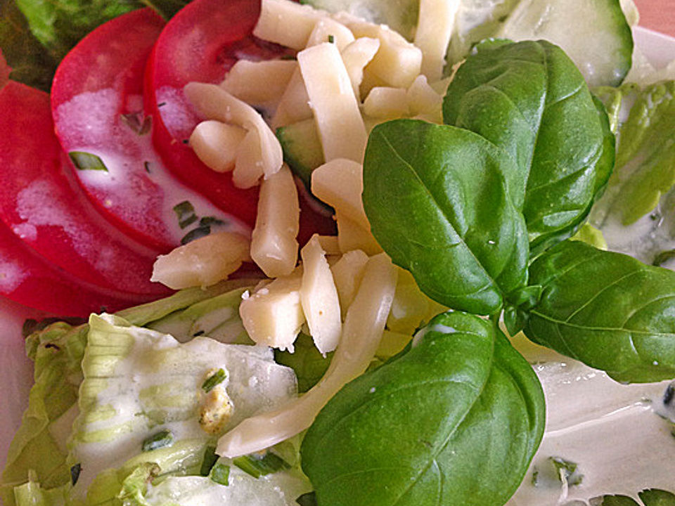 Kefir-Dressing mit gemischtem Salat von Slindi | Chefkoch