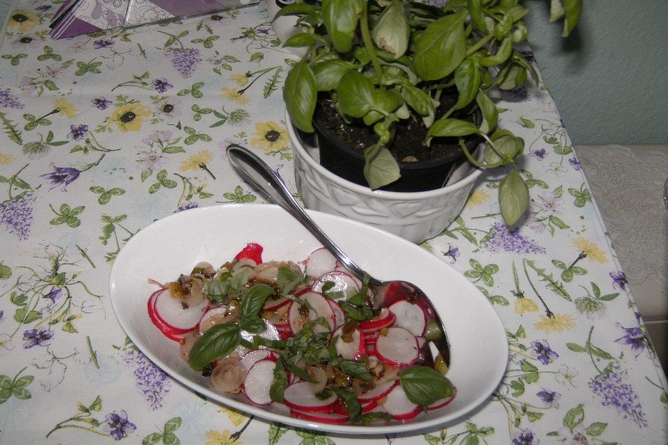 Radieschensalat mit Frühlingszwiebeln und Basilikum Radieschensalat mit Frühlingszwiebeln und Basilikum