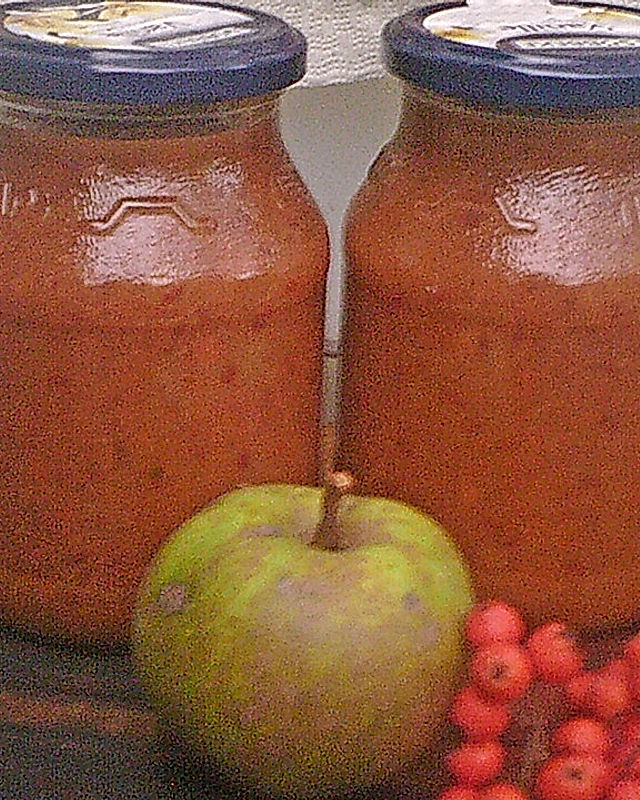 Apfel-Ebereschen-Kompott