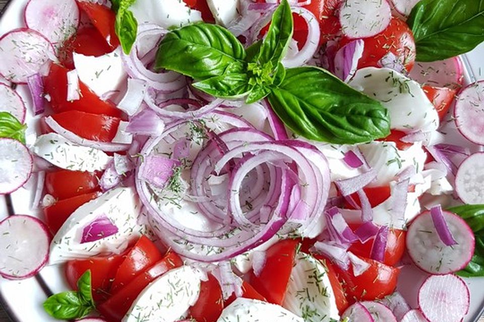 Mozzarella-Tomaten-Salat mit Pesto